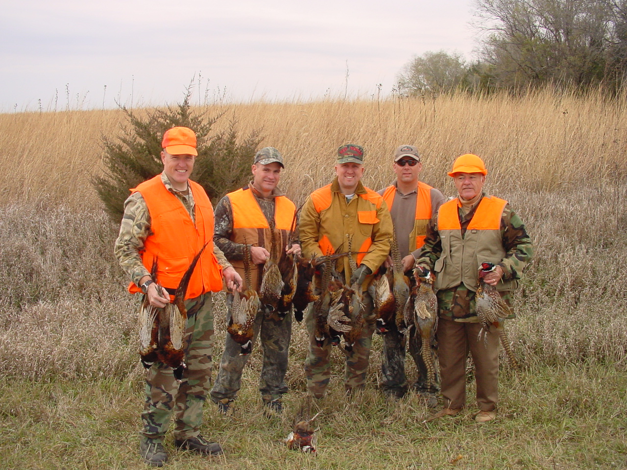 Guided Pheasant Hunts - 855-473-2875